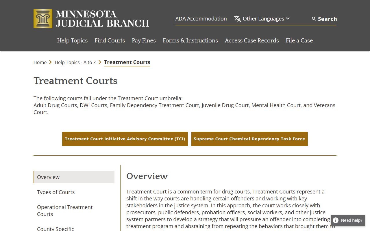 Cook County District Court Minnesota treatment courts overview